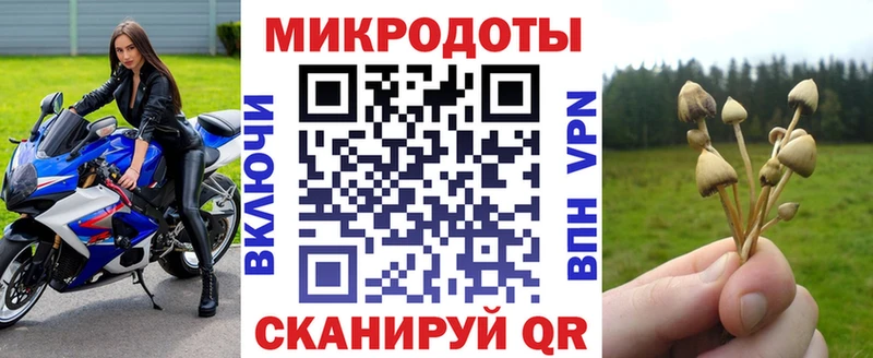 Галлюциногенные грибы Magic Shrooms  Кизел 